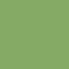 Fat Quarter Riley Blake Confetti Cottons "Riley Green" Solid Quilt Cotton