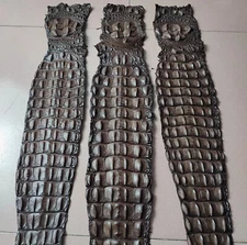 Genuine Crocodile Skin Leather Back Strap Hide Brown 51 x 4.75"