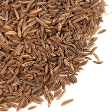 Caraway Seeds  Bulk  Spice Jungle