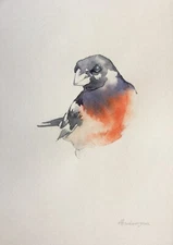 Grosbeak, Birds, Watercolor artwork, Handmade, Original painting on paper