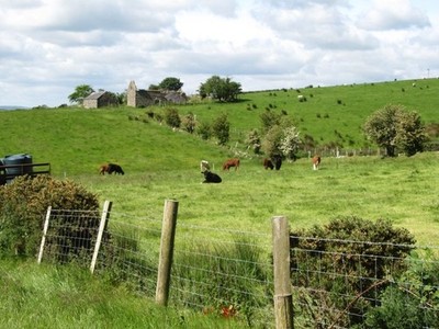 Foto 6x4 Ruine Steading auf der Lee-Seite eines Drumlins Gransha \/J2542 Th c2017