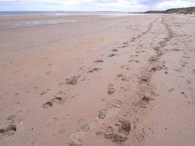 Photo 6x4 Footprints in the sand Alnmouth On the beach below Buston Links c2010