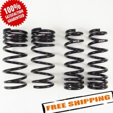 RS-R T995S SuperDown SUS Lowering Springs Set