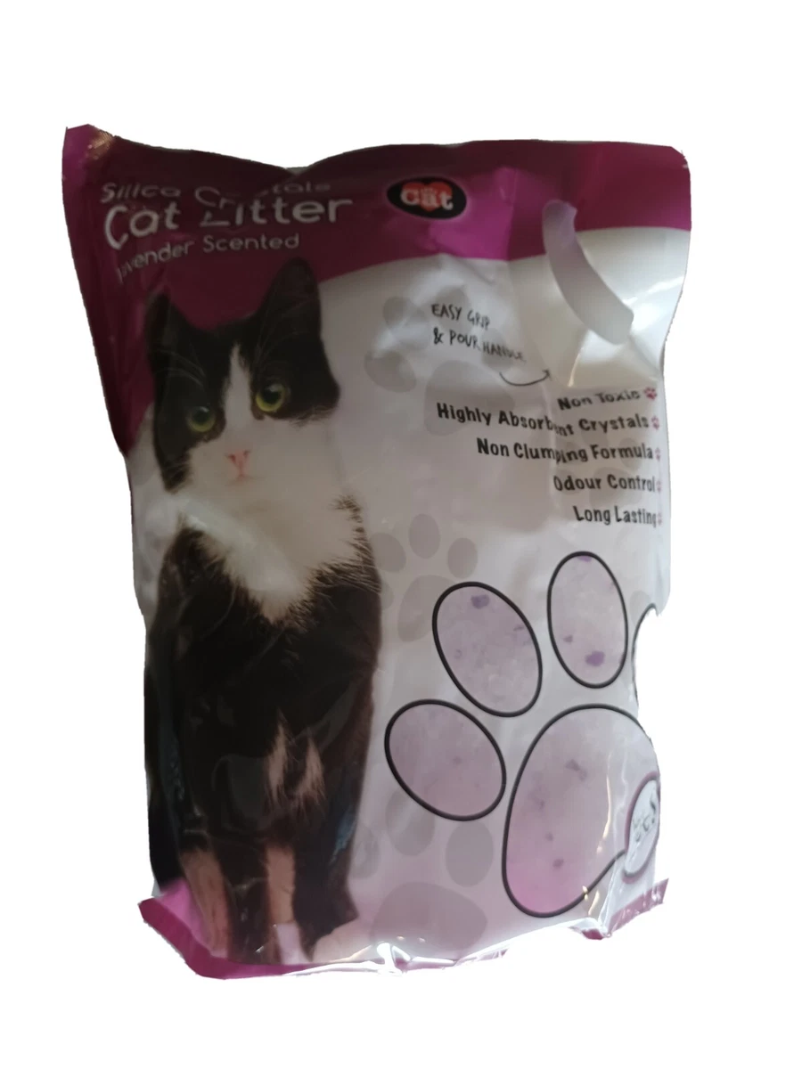 No hot sale dust litter