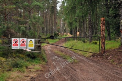 Foto 6x4 Jüngste Holzfälleraktivitäten in der Nähe von Craig Leach Dochgarroch c2010