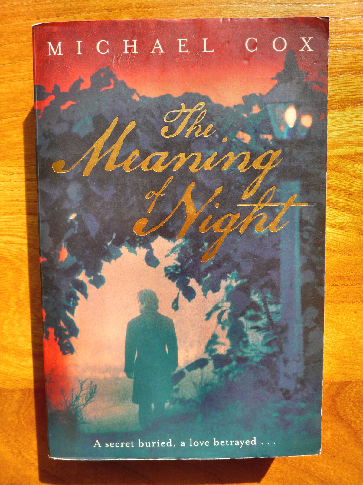 The Meaning of Night: by Michael Cox (Paperback) - Used, Very Good