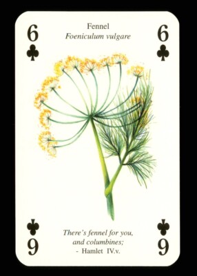 1 x Spielkarte Shakespeare Blumenfenchel 6 von Clubs Q80