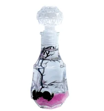 marimo moss ball aquarium best gift