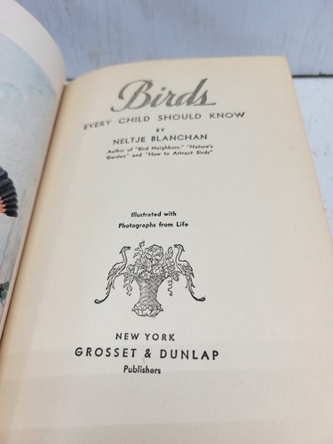 Vintage Neltje Blanchan Birds Every Child Should Know North America 1907 - Picture 9 of 12