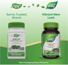 Nature's Way Kelp - Thyroid Support - Iodine - 100 Capsules 1/2029