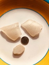 LOT OF 3 CREAMY PIECES WITH GREAT DESIGNS Surf-Tumbled Genuine SEA Beach Glass
