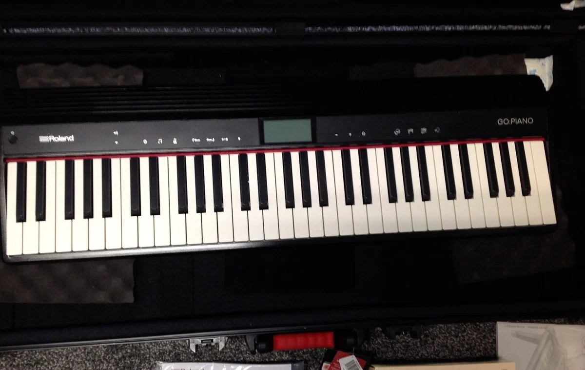 Dp10 2024 digital piano
