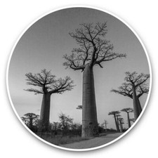 2 x Vinyl Stickers 15cm (bw) - African Baobab Trees Africa Tree  #42539