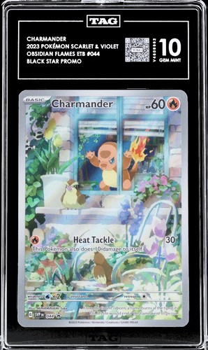 Charmander graded TAG 10 for sale on eBay