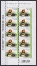 Belgium 2018 Fauna, Birds, Red-Crested Pochard, Buzin MNH**