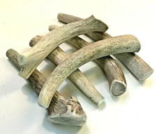 BEST VALUE! One Pound-Whole Deer/Elk Antler Dog Chews Treats Crafts SMALL/MEDIUM