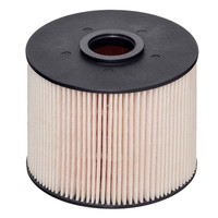 Hengst Filter Kraftstofffilter U.A. FüR CitroËN, Ds, Fiat, Ford, Peugeot
