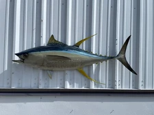 55" Yellowfin Tuna Half Mount Fish Replica - Quick Production