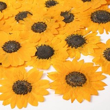 48 PCS Dried Sunflowers Natural Pressed Yellow Flowers for Resin Crafts
