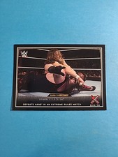 Daniel Bryan & Kane 2015 Topps WWE Wrestling Card # 15 I5480