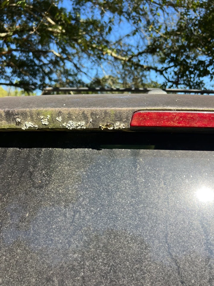 Chrysler Town & Country 2011-2016 OEM maletero trasero tapa elevadora montaje carcasa PXJ Foto 4 de 4