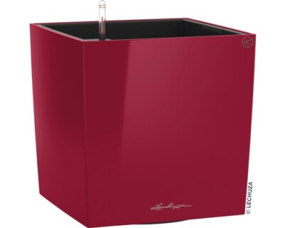 Blumenkasten Lechuza Cube Kunststoff 30 x 30 x 30 cm rot inkl. Erdbewässerungsys