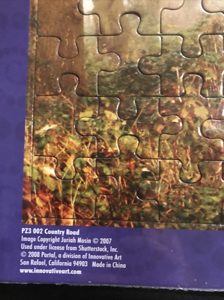 Frame Tray Puzzle 100 Pieces 12