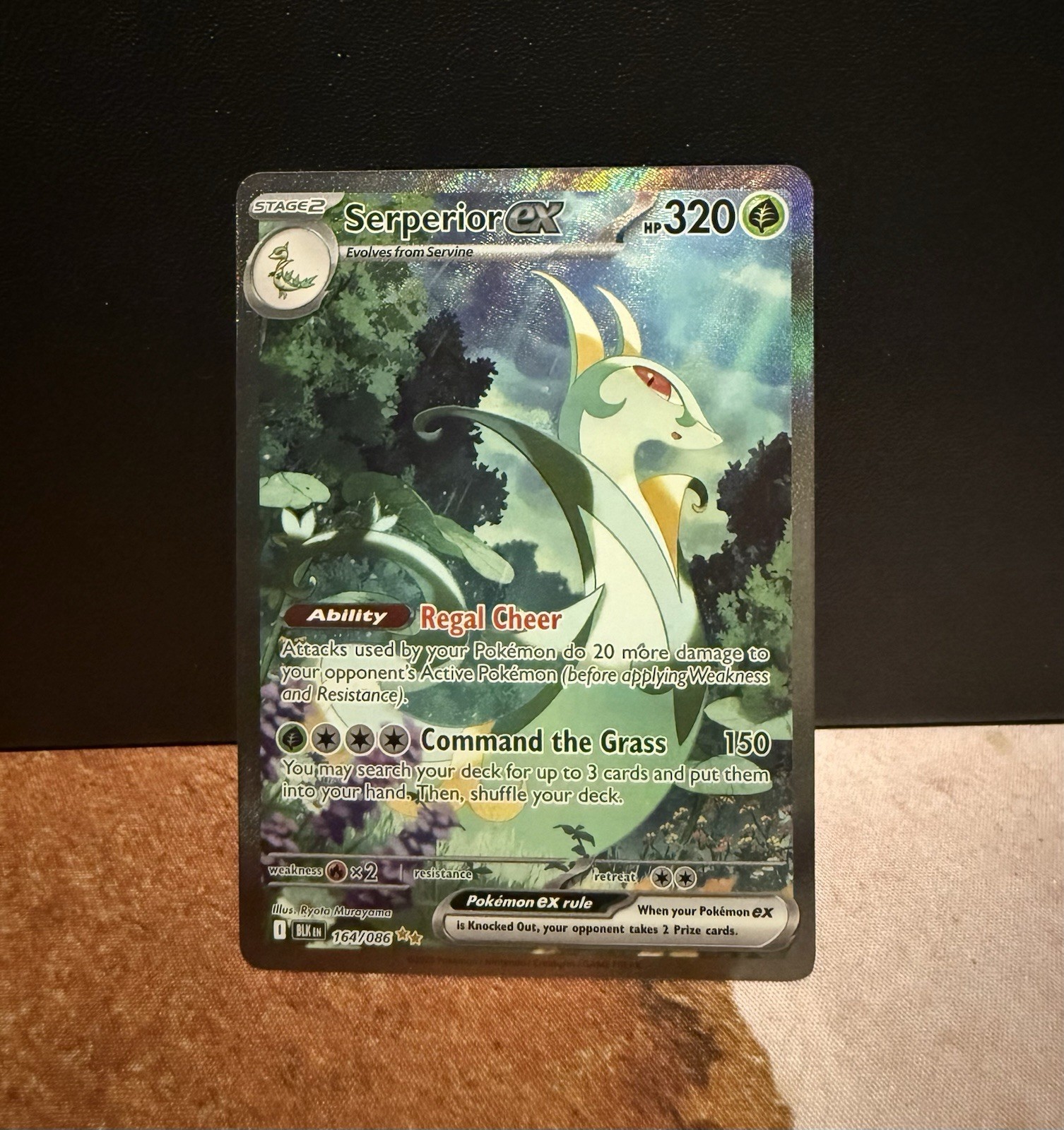 Serperior ex 164/086 Sv: Black Bolt Holo
