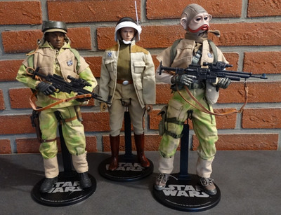 STAR WARS  Sideshow, Sonstige Custom Endor Sodiers, Rebel Commander, 1/6, 12''