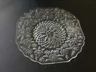 Pineapple and Floral Clear Bread Butter Dessert Plate(s)  6”