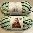 2 IMPECCABLE in TROPICAL FRUIT VARG by LOOPS & THREADS 187Yds/171m 3.5oz/100g