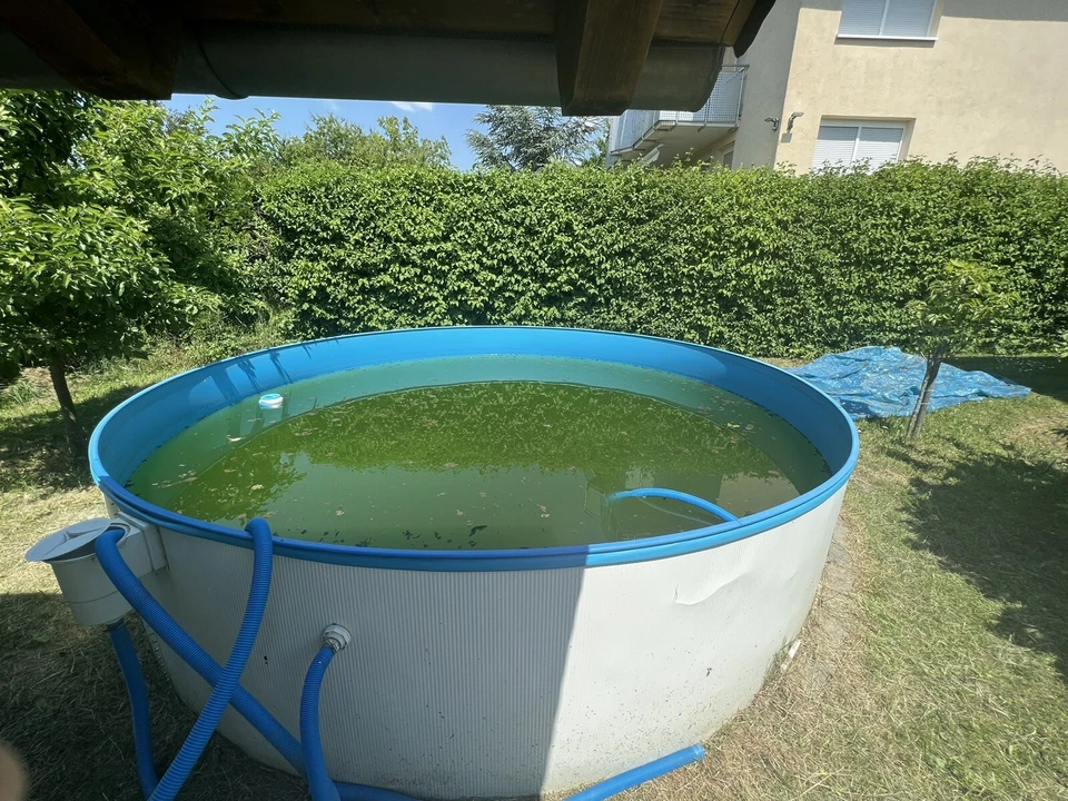 Großer Pool für den Garten - Bild 3 von 4