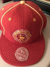 Cleveland Cavaliers Collecting and Fan Guide 20