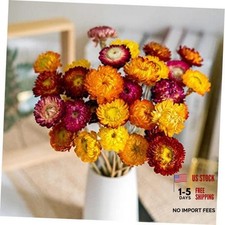 20 Pcs Dried Daisy Flower Bouquet, 17" Multicolor Fall 20 Pcs-multi Color
