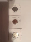 Starter  Collection  Mix Lot of  3 1919 Buffalo, 1897 V Nickel,1896 Indian Cent