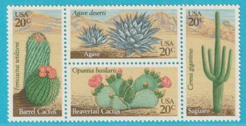 EE. UU. de 1981 ** Sin usar MiNr. 1517-1520 Plantas del desierto - Imagen 1 de 1