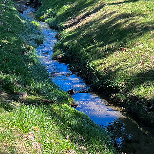 The Wandering Creek | eBay Stores