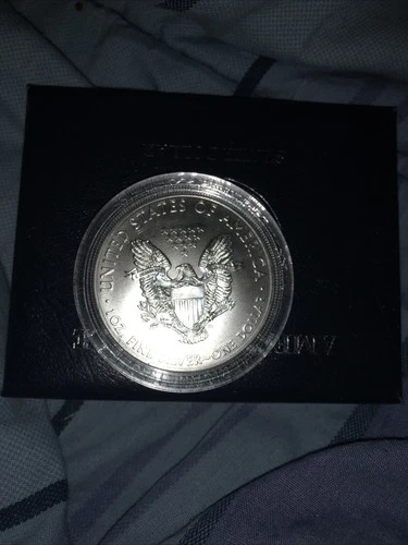 2013,  1 Troy Ounce Silver American Eagle ￼