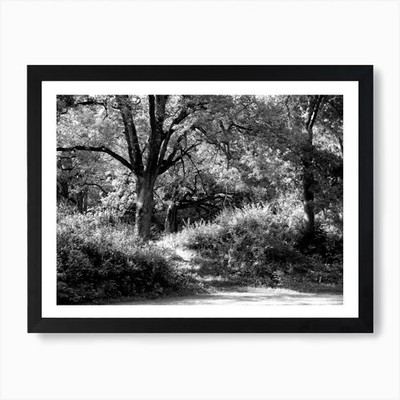 Tree Scenery 1 Art Print Framed Wall Art Poster Canvas Print Picture