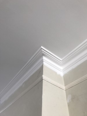 Victorian Plaster Cornice 1 11 50per Metre Read Description Ebay