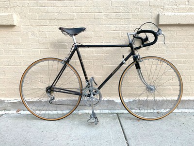 raleigh reynolds 531