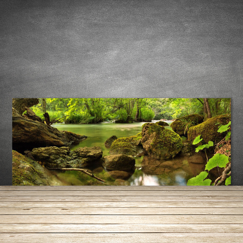 Crédence de cuisine en verre premium 125x50 décor Nature minérale