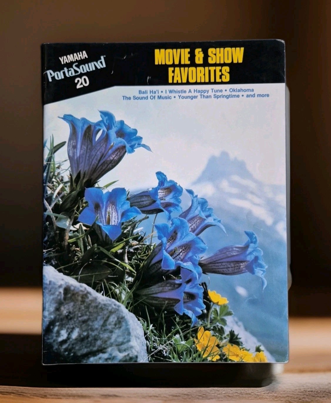 Yamaha PortaSound Movie & Show Favorites - Libro di spartiti per tastieristi