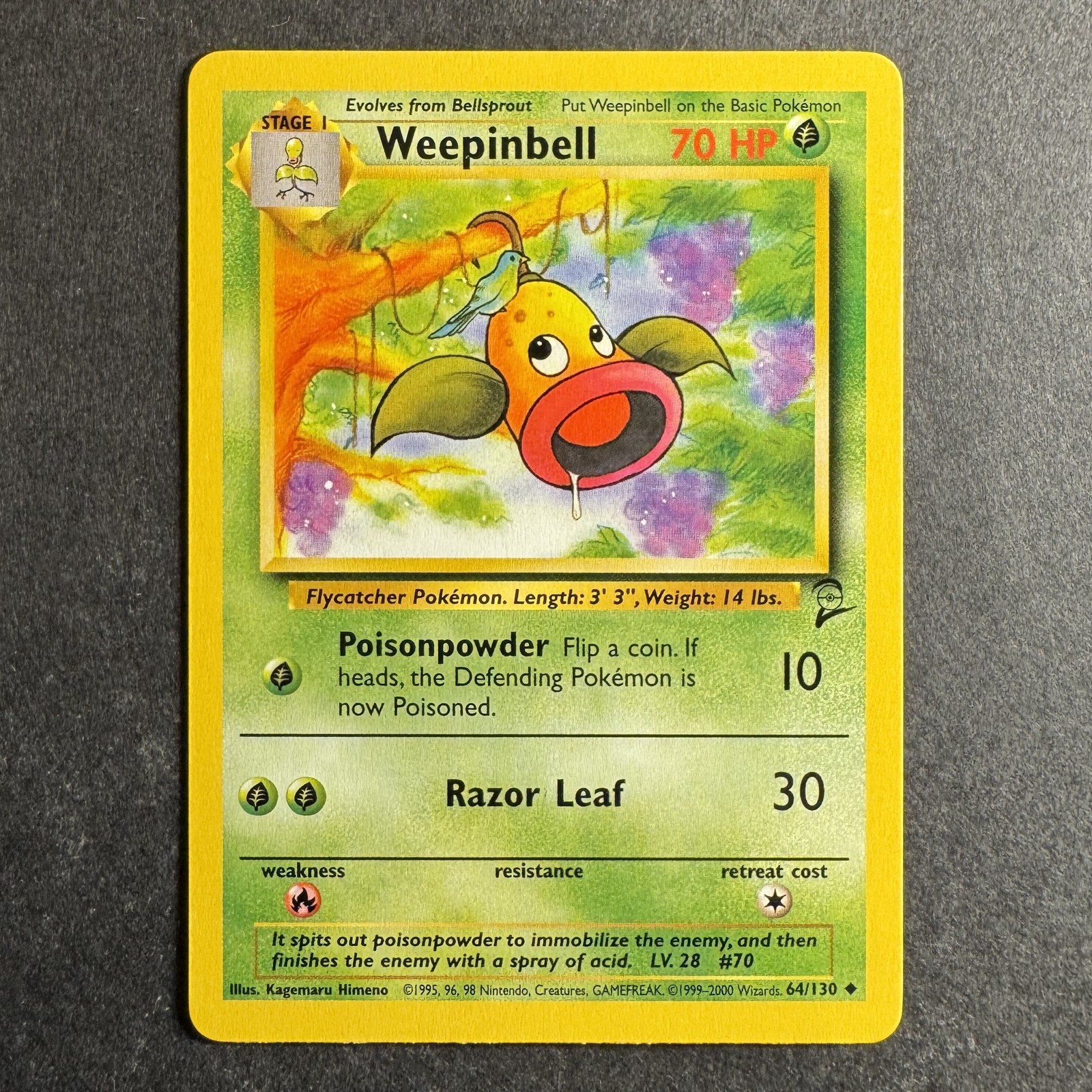 Weepinbell - 64/130 - Base Set 2 - Pokemon - Uncommon - NM