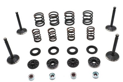 Kibblewhite Valve and Spring Kit for Harley-Davidson