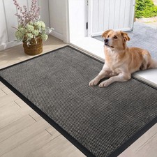 Door Mat Indoor Entrance, 29.5x17 Inch, Outdoor Mats for Front Door, Non Slip...