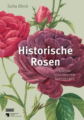 Sofia Blind Historische Rosen
