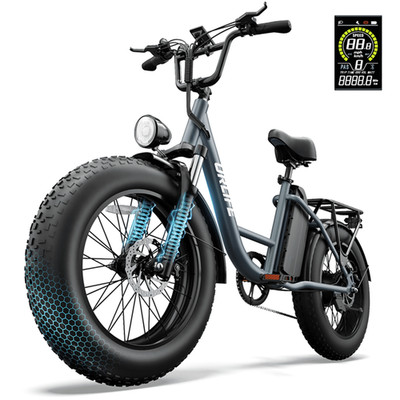20''*4.0 Fat Tire Ebike for Adult 1500W Peak Motor 749Wh Removable Battery 80Mile