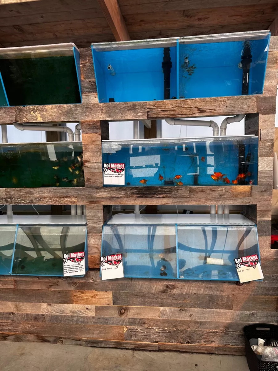Used retail sale aquarium display