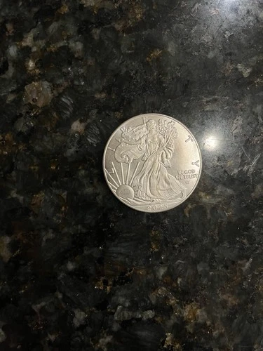 $1 American Silver Eagle Coin 1 oz BU - 2025 - US Mint, uncirculated